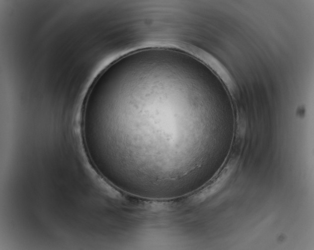 X0000103400958200809121239