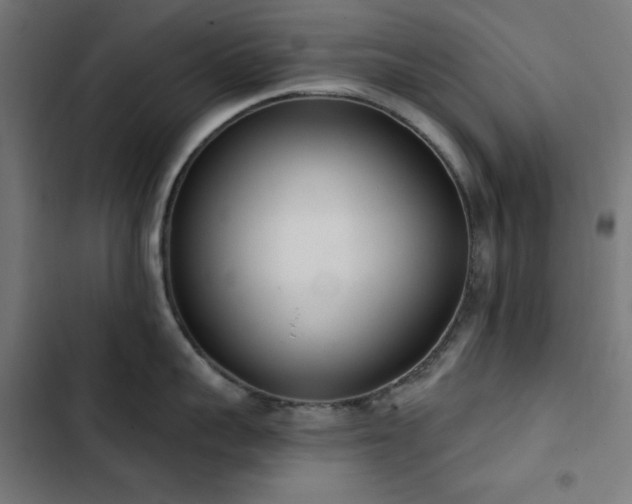 X0000103400959200809121239
