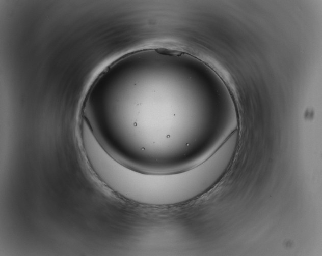 X0000103400960200809121239