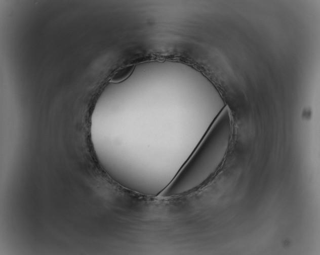 X0000103400961200809121238