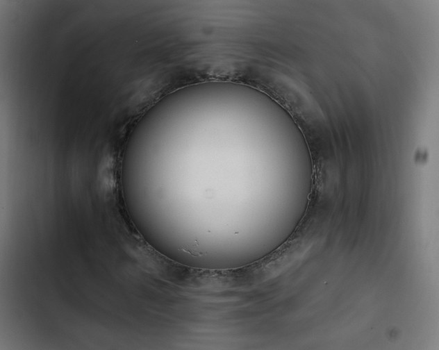 X0000103400962200809121238