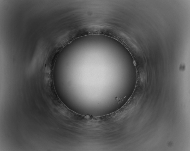 X0000103400964200809121238