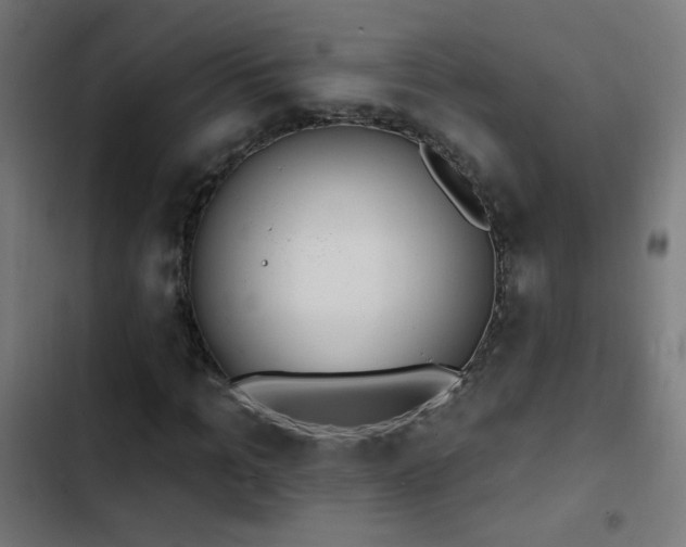 X0000103400965200809121238