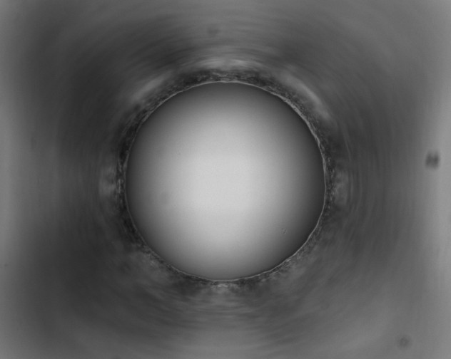X0000103400966200809121238