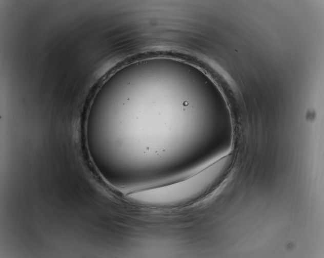 X0000103400969200809121238