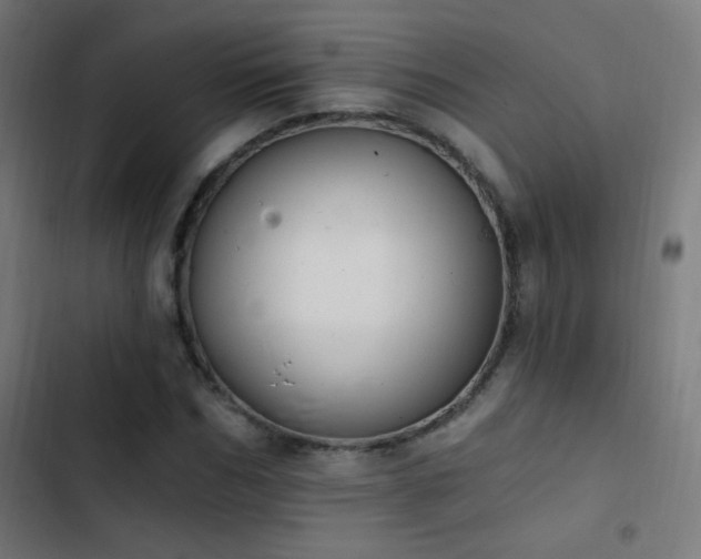 X0000103400970200809121238