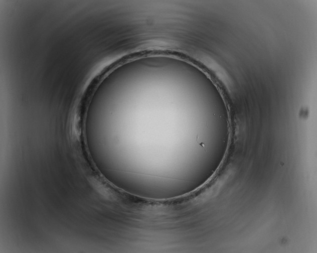 X0000103400973200809121238