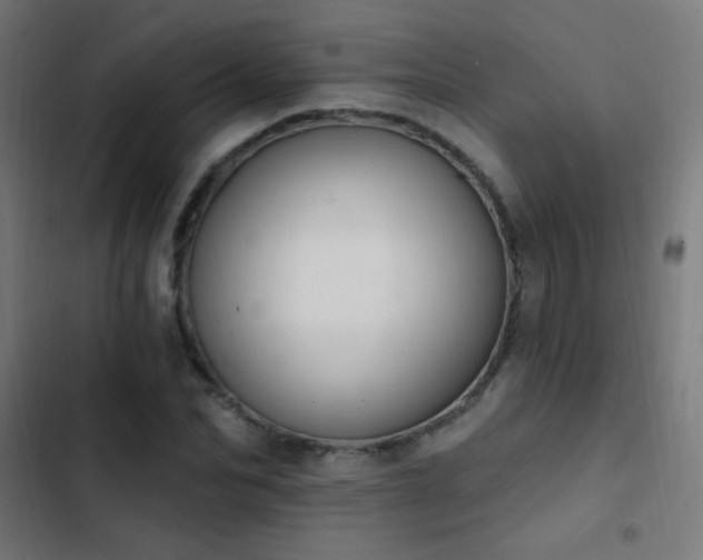 X0000103400974200809121238