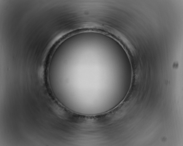 X0000103400975200809121238