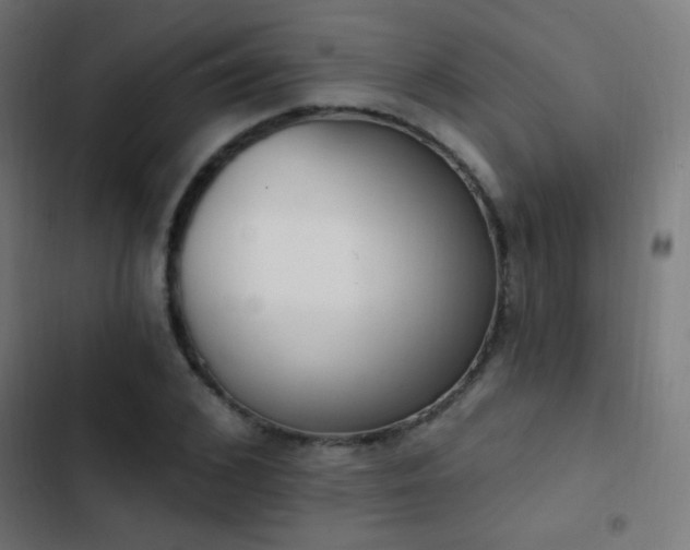 X0000103400976200809121238