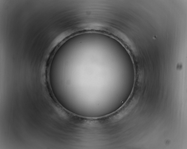 X0000103400978200809121238