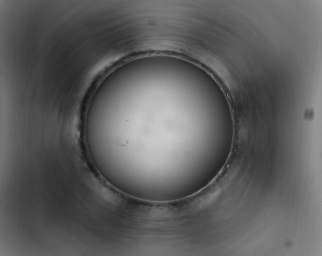 X0000103400979200809121238