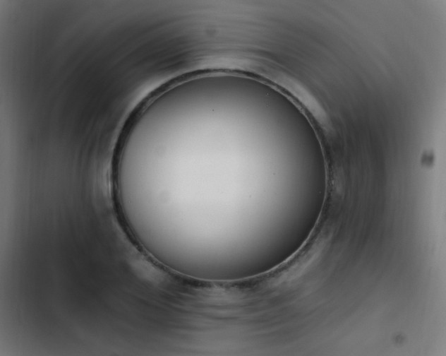 X0000103400980200809121238
