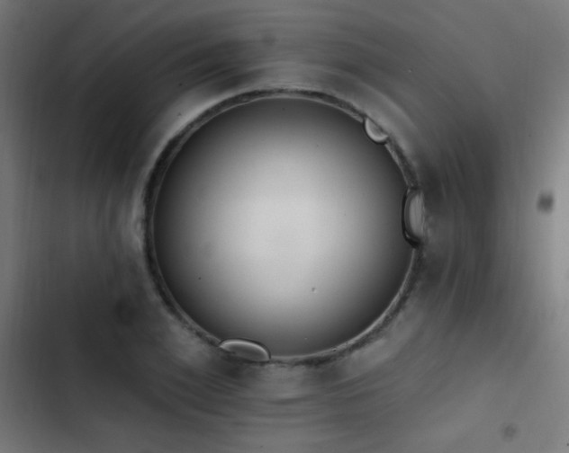 X0000103400981200809121238