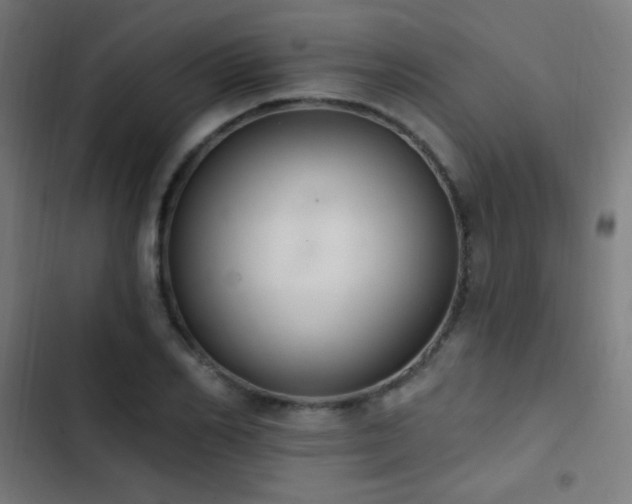 X0000103400982200809121238