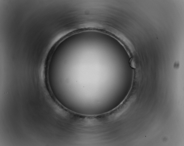 X0000103400983200809121238