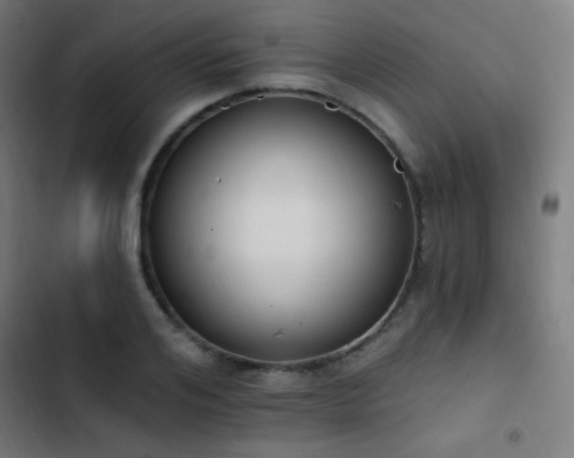 X0000103400984200809121238
