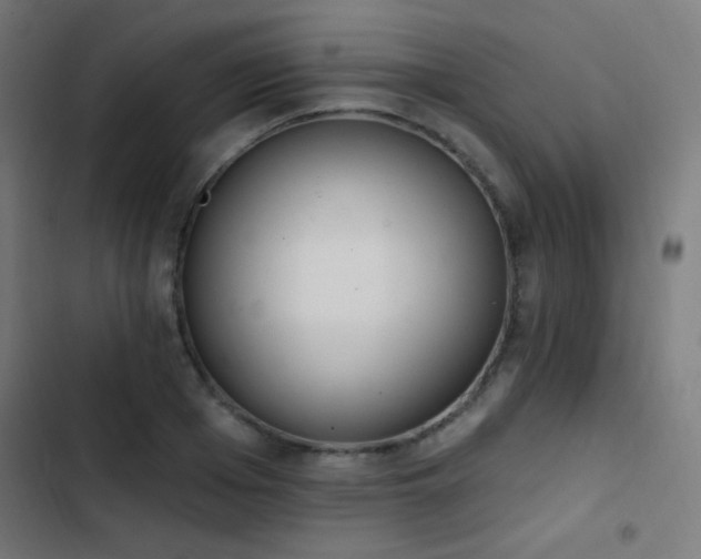 X0000103400985200809121238