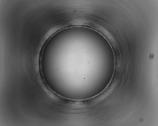 X0000103400986200809121238
