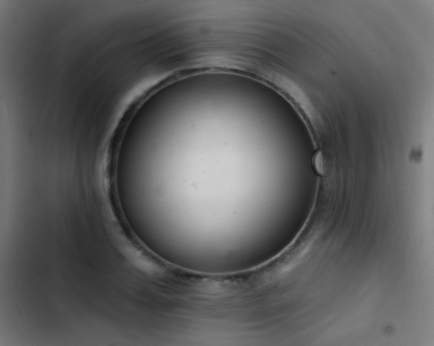 X0000103400987200809121238