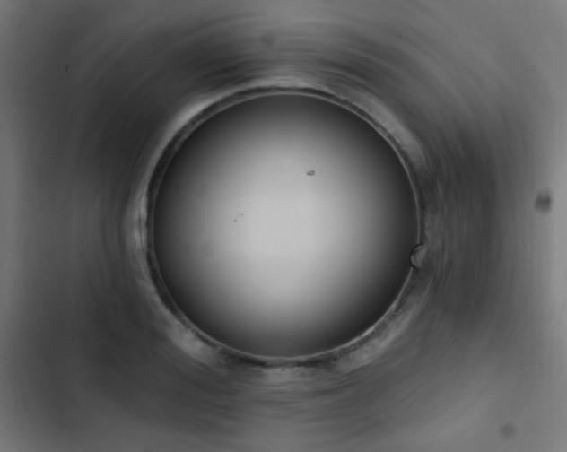 X0000103400988200809121238