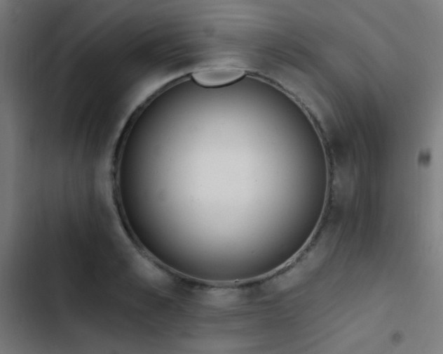X0000103400989200809121238