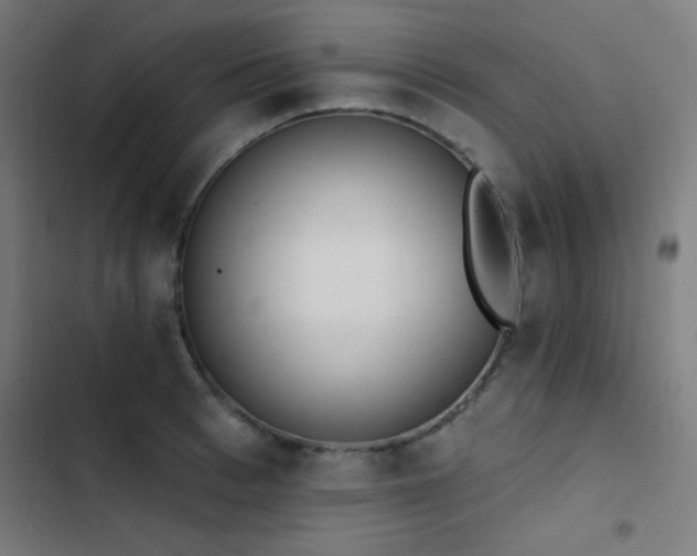 X0000103400993200809121238
