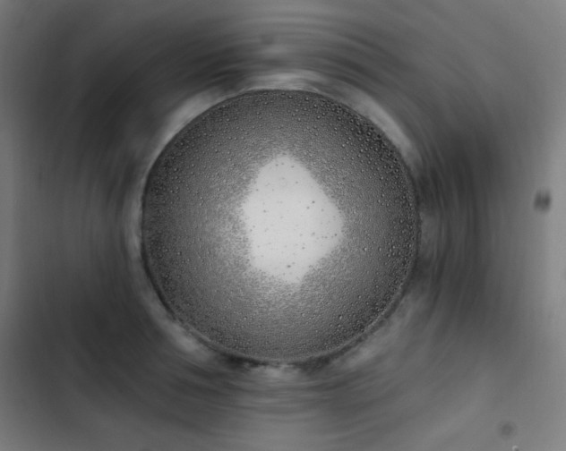 X0000103400994200809121238