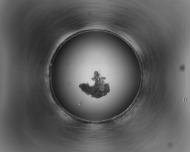X0000103400996200809121238