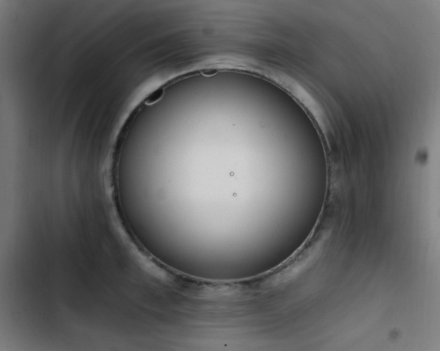 X0000103400997200809121238