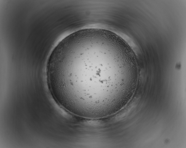 X0000103400998200809121238