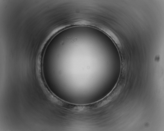 X0000103401000200809121238