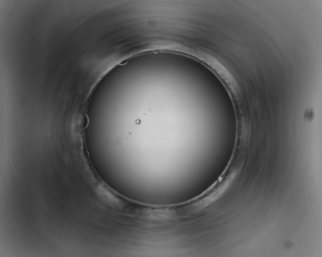X0000103401001200809121238
