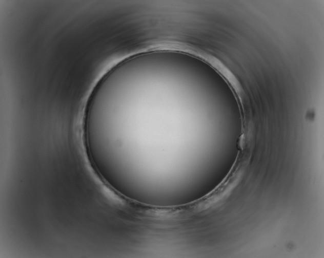 X0000103401005200809121238