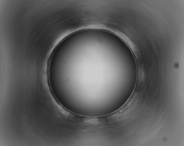 X0000103401006200809121238