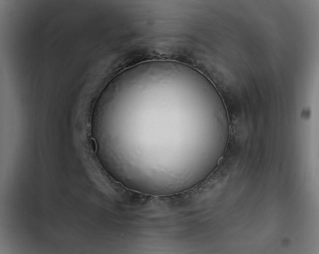 X0000103401009200809121237