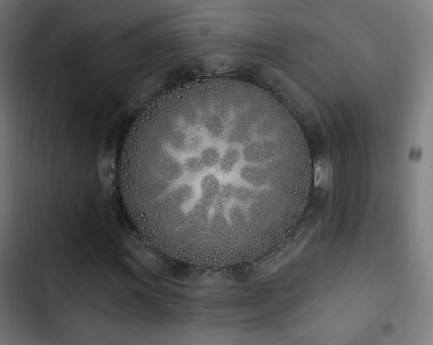 X0000103401011200809121237