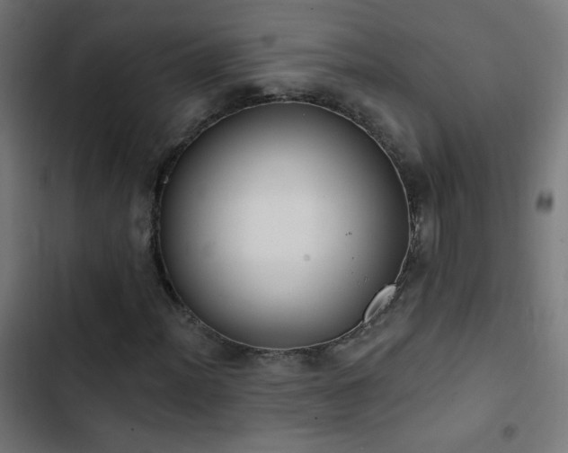 X0000103401012200809121237