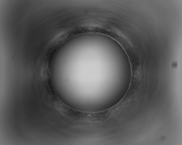 X0000103401014200809121237
