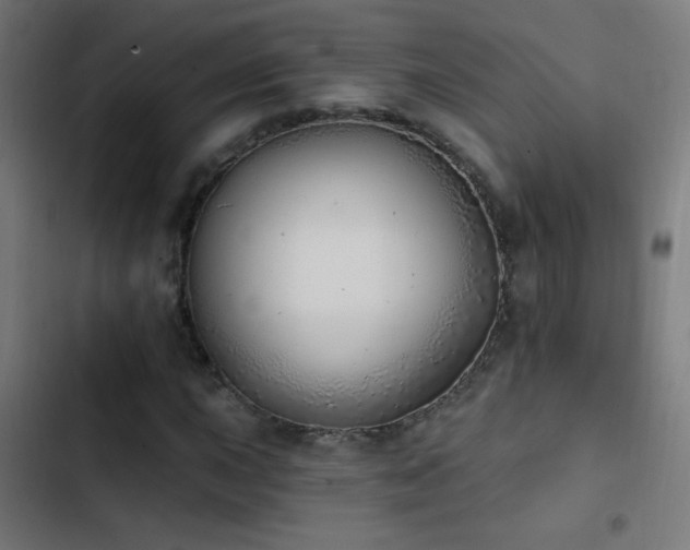 X0000103401015200809121237