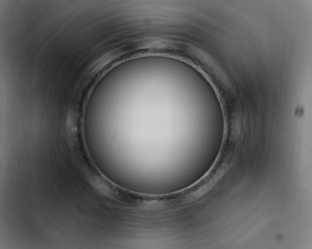 X0000103401017200809121237