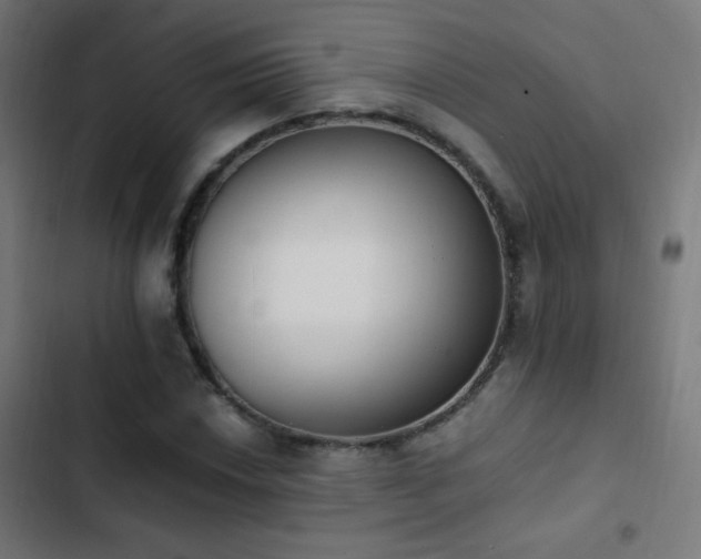 X0000103401018200809121237