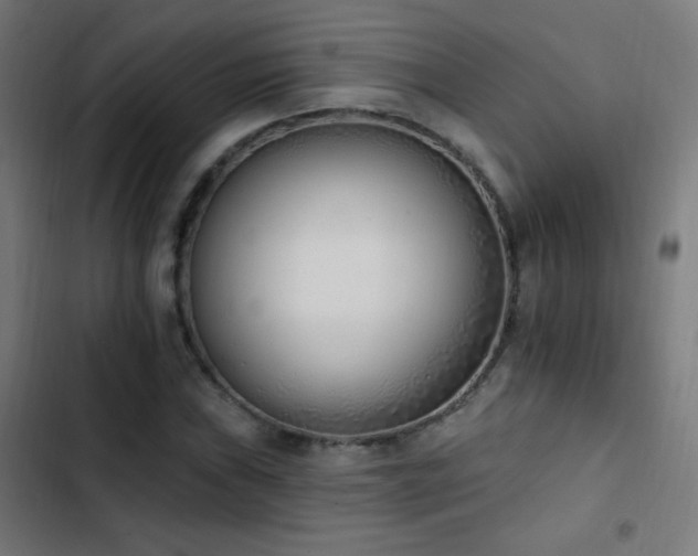X0000103401019200809121237