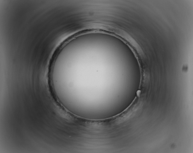X0000103401020200809121237