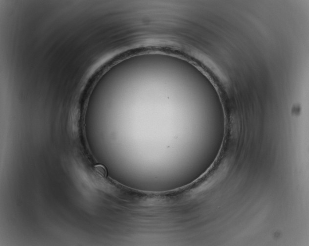 X0000103401021200809121237