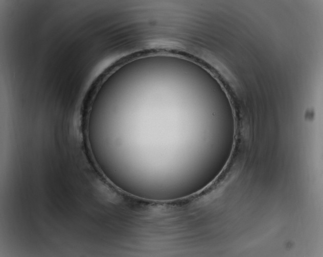 X0000103401022200809121237