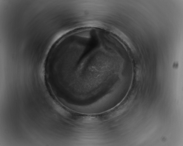 X0000103401024200809121237