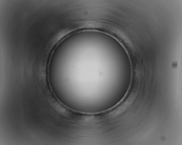 X0000103401025200809121237