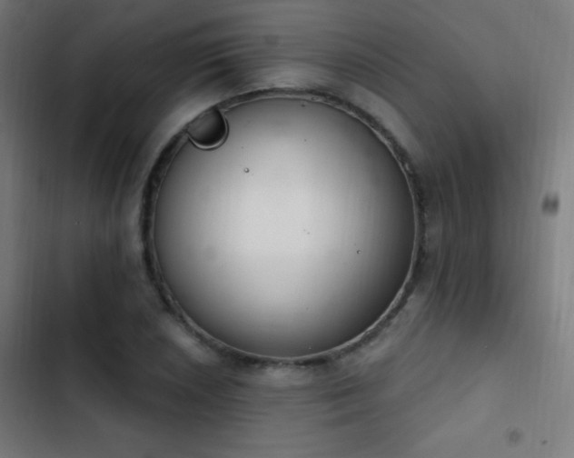 X0000103401026200809121237