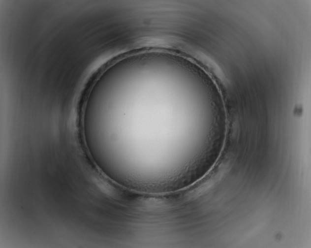X0000103401027200809121237